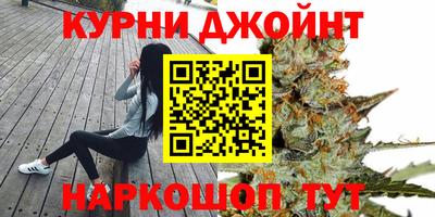 СК Канаш
