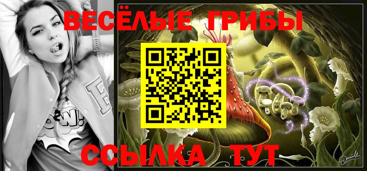 Псилоцибиновые грибы Cubensis Дзержинск