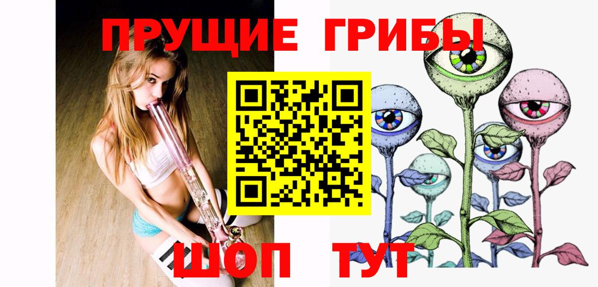 Дзержинск  закладки  Вход с VPN  Псилоцибиновые грибы Cubensis 